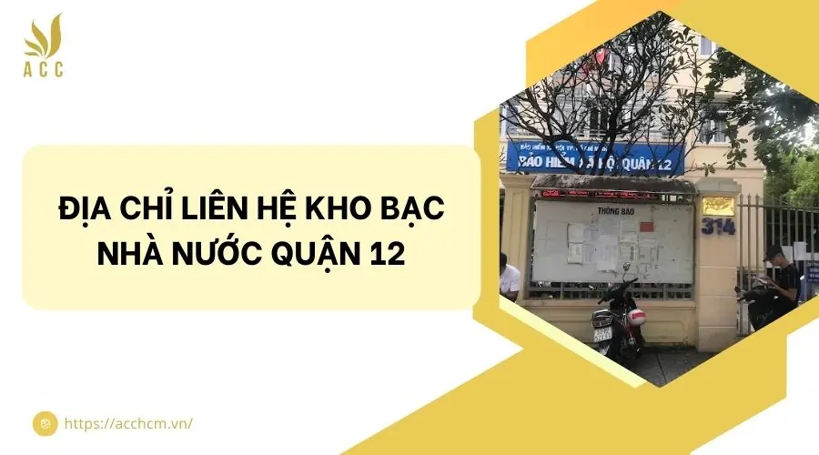 Kho bạc Nhà nước Quận 12 - Hình 2