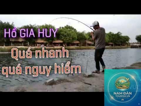 Khu câu cá giải trí An Phú Đông Quận 12 - Hình 1