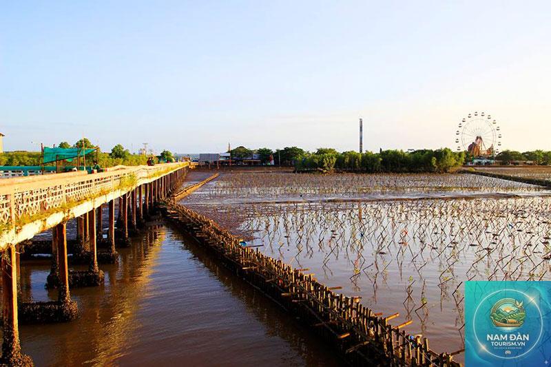 bãi biển nhà mát - Hình 2