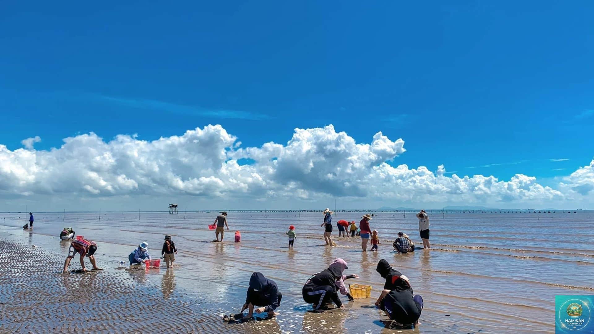 bãi biển tân thành - Hình 5