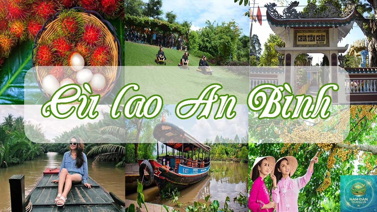 bãi bồi cù lao an bình - Hình 5