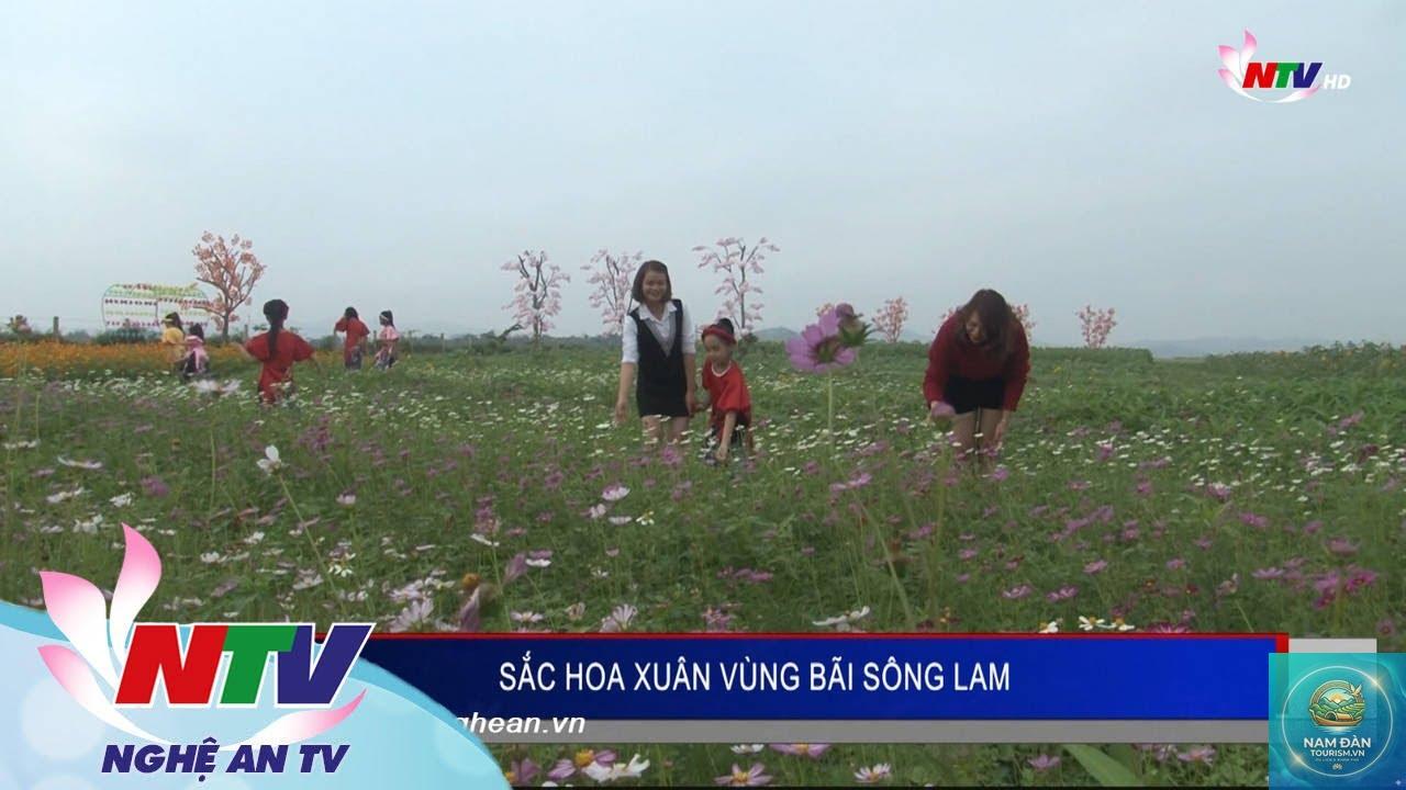 bãi bồi sông lam nam đàn - Hình 2