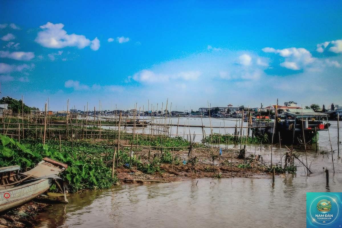 bãi bồi tân lộc - Hình 4