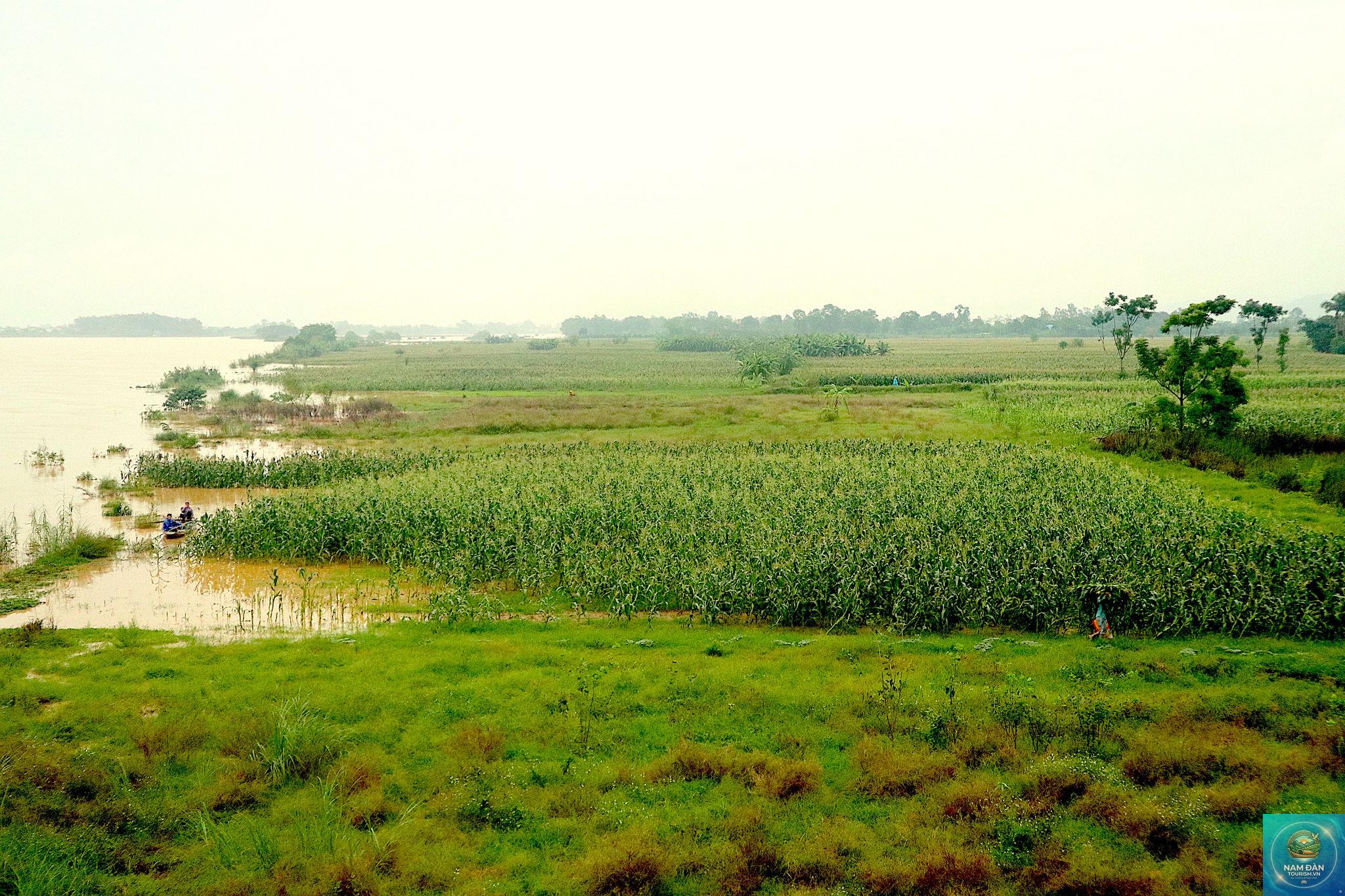 bãi bồi tân lộc - Hình 5