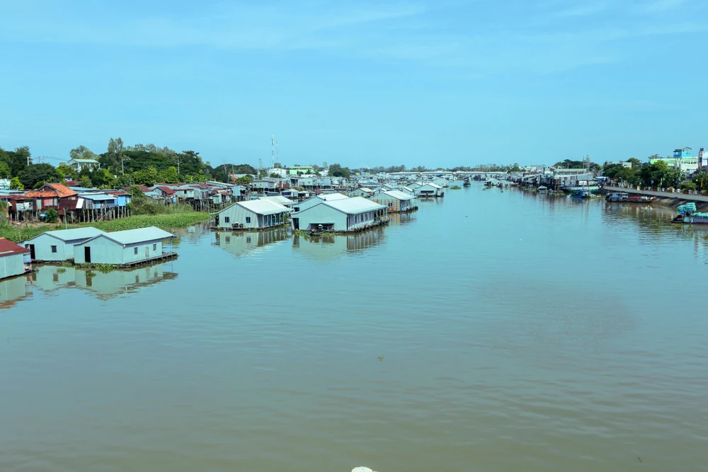 bè cá tra hồng ngự - Hình 2