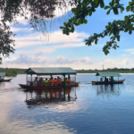 bến đò tràm chim