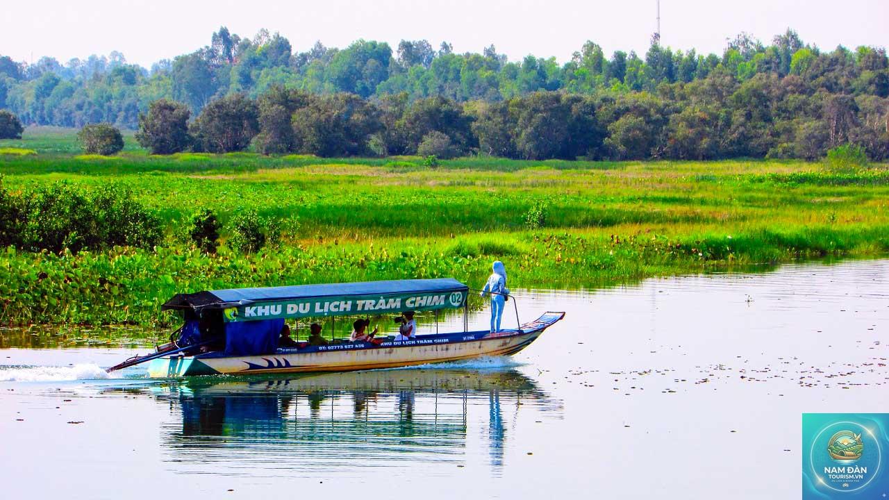 bến đò tràm chim - Hình 3