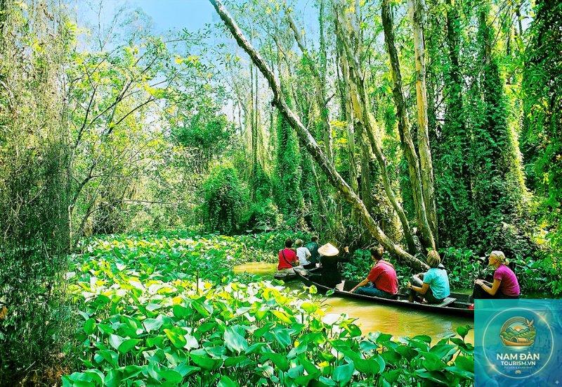 bến đò xẻo quýt - Hình 3