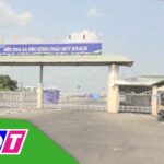 bến phà sa đéc
