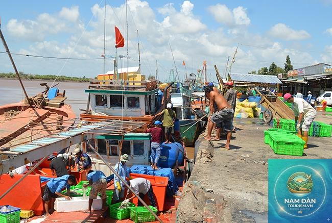 bến tàu biển bạc liêu - Hình 4