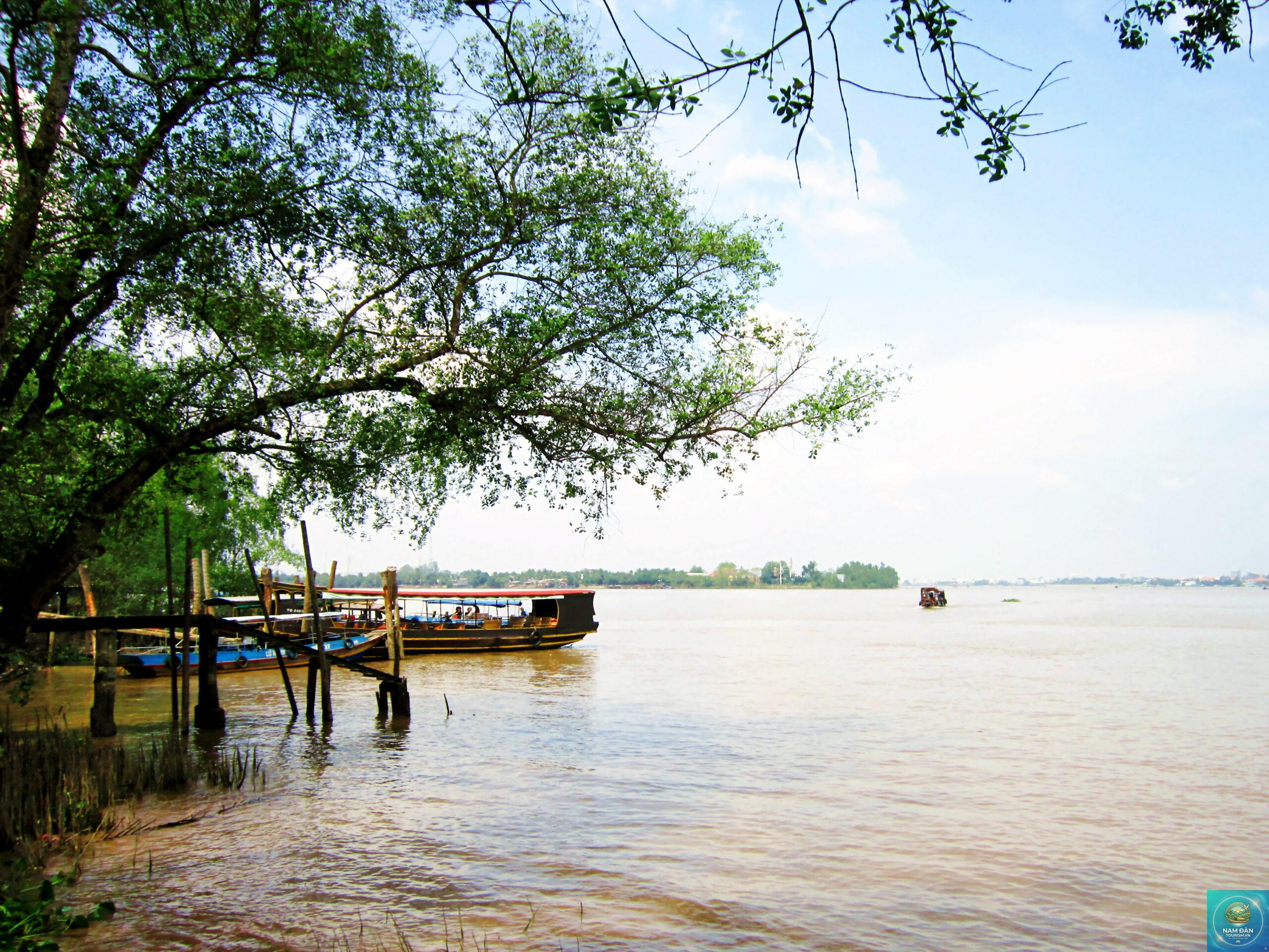 bến tàu du lịch cồn phụng - Hình 3
