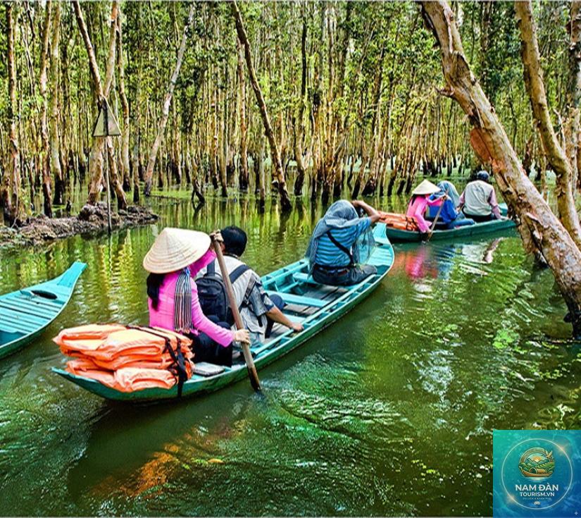 bến tàu du lịch gáo giồng - Hình 4