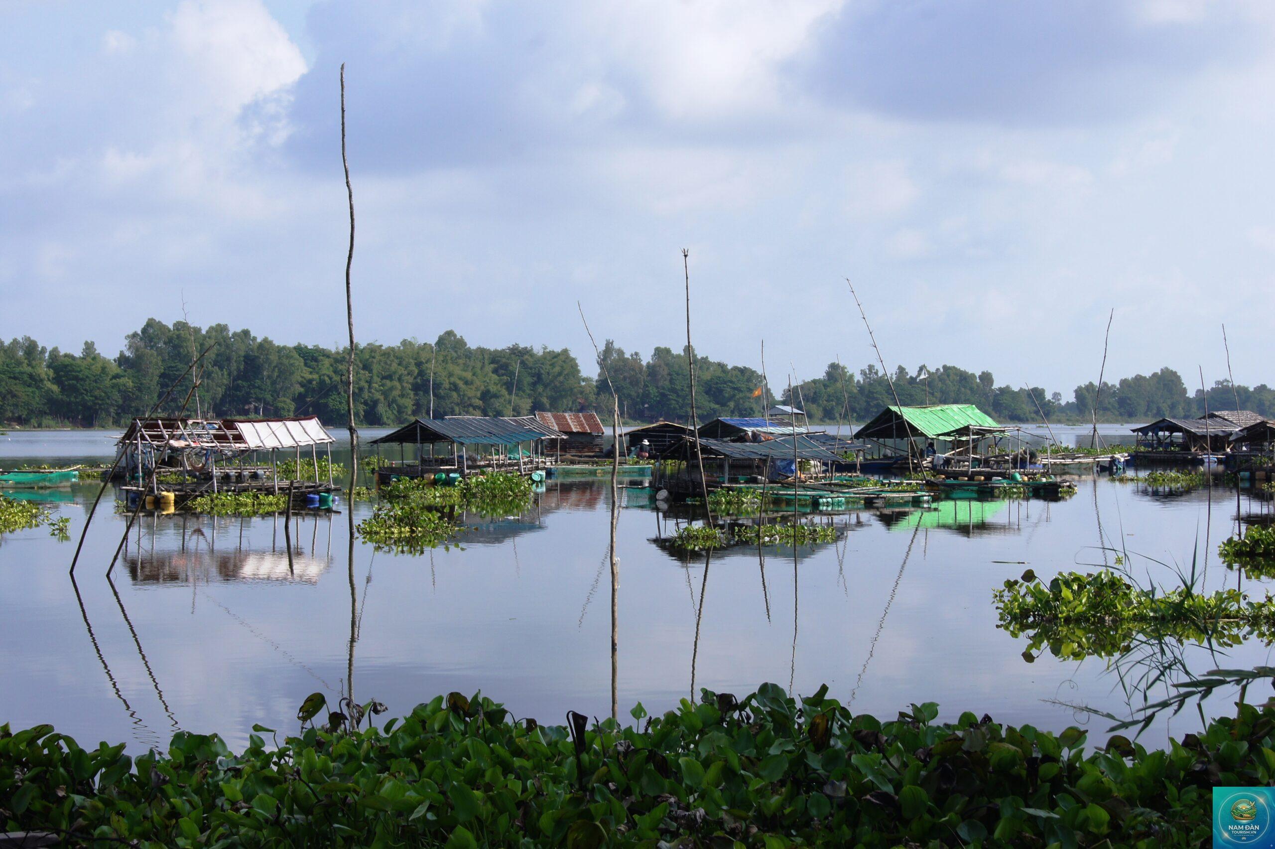 búng bình thiên - Hình 1