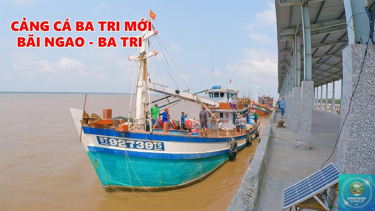 cảng cá ba tri - Hình 4
