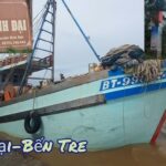 Cảng cá Bình Đại: Trung tâm hậu cần nghề cá trọng điểm Bến Tre và những điều cần biết cảng cá bình đại