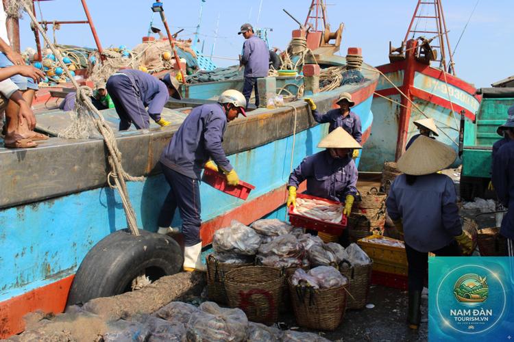 cảng cá bình đại - Hình 5