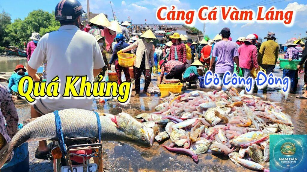 cảng cá gò công