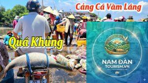 cảng cá gò công
