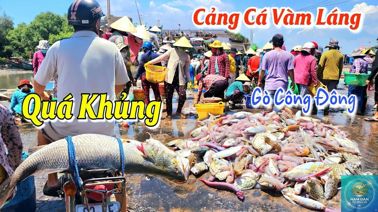 cảng cá gò công - Hình 1