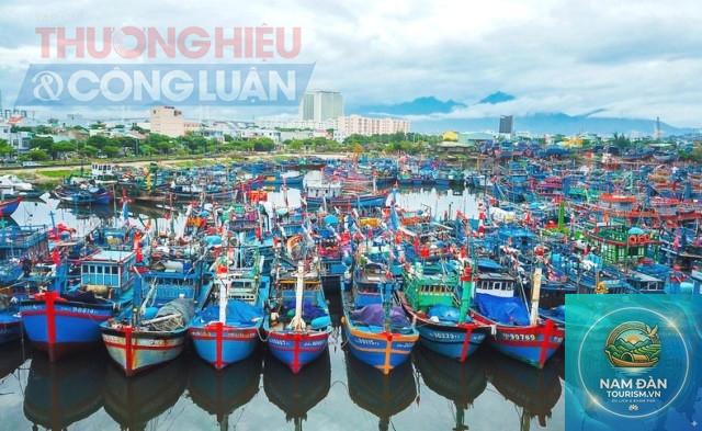 cảng cá tân thành - Hình 3