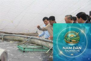 cảng cá tân thành