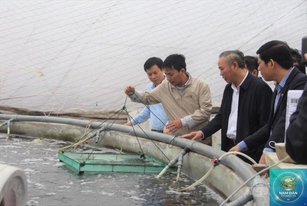 cảng cá tân thành