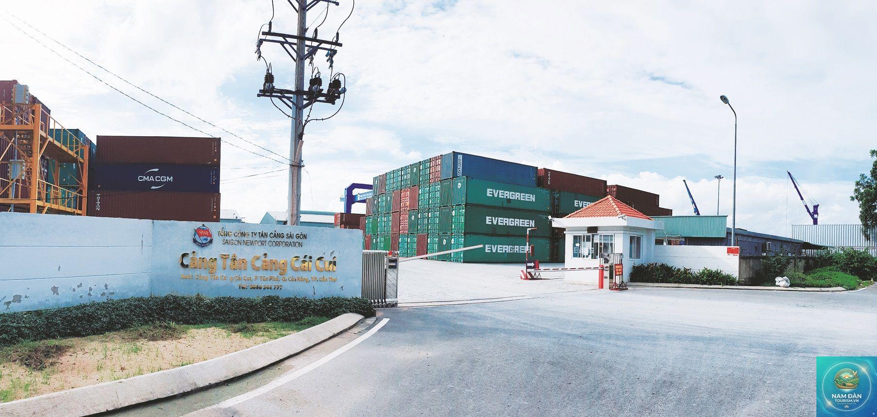 cảng cái cui - Hình 5