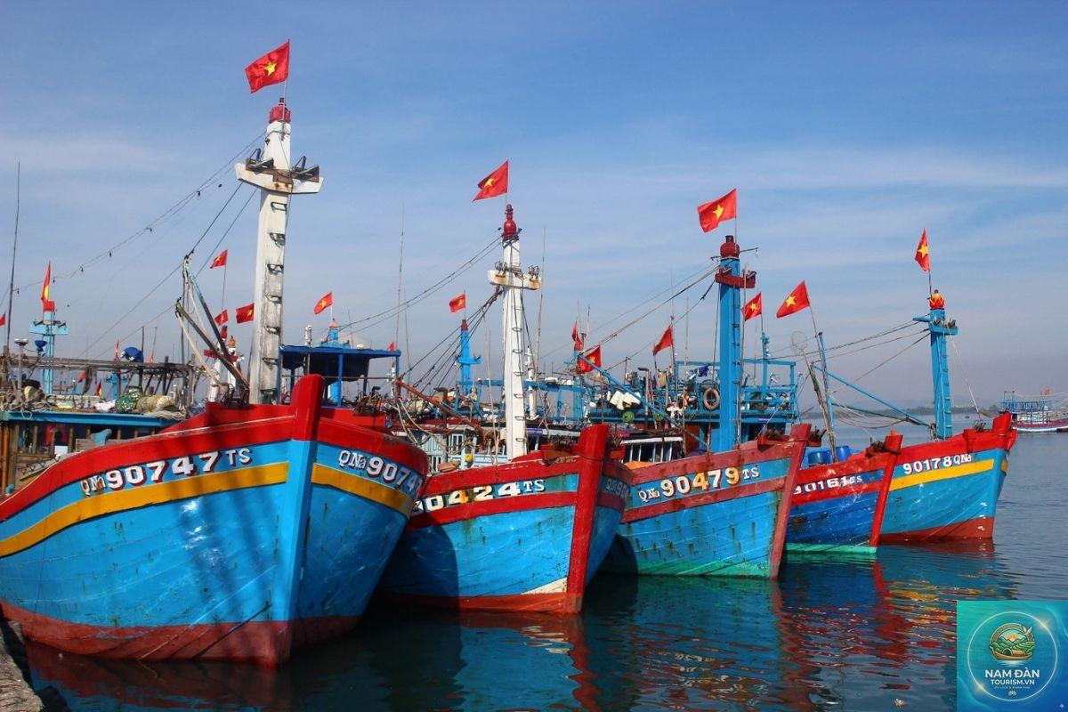 cảng gành hào - Hình 3