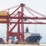 Cảng Lấp Vò - Điểm Trung Chuyển Hàng Hóa Chiến Lược Tại Đồng Tháp