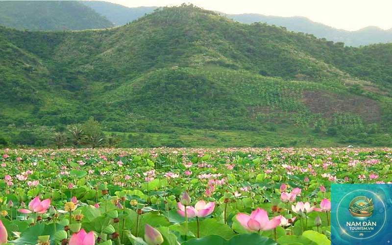 cảng tháp mười - Hình 4