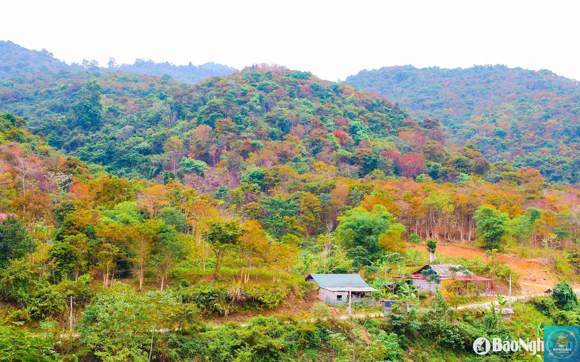 cảnh đẹp núi rừng nghệ an - Hình 2