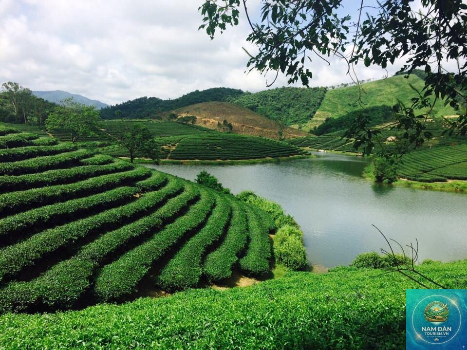 cảnh đẹp thiên nhiên nghệ an - Hình 5