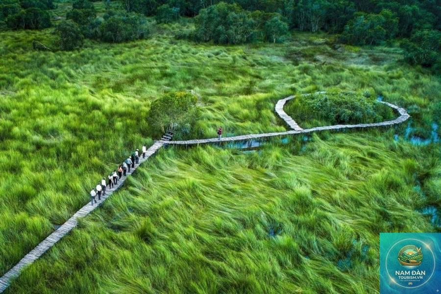 cánh đồng bất tận long an - Hình 2