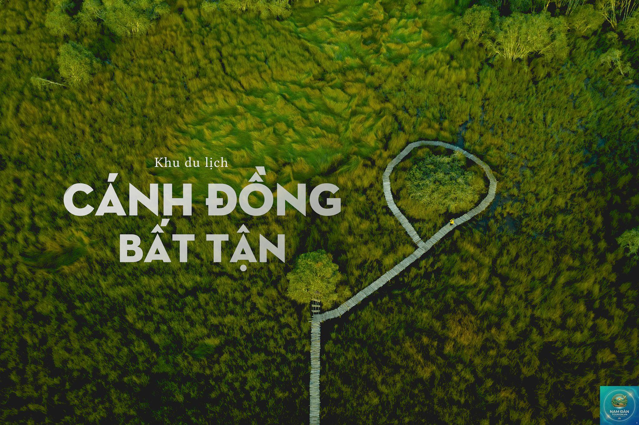 cánh đồng bất tận long an - Hình 3