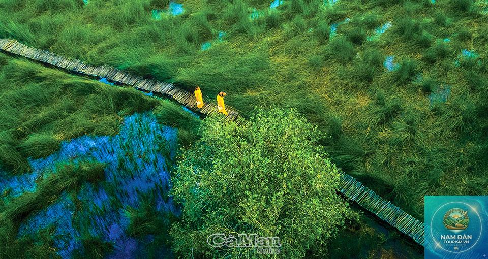 cánh đồng bất tận long an