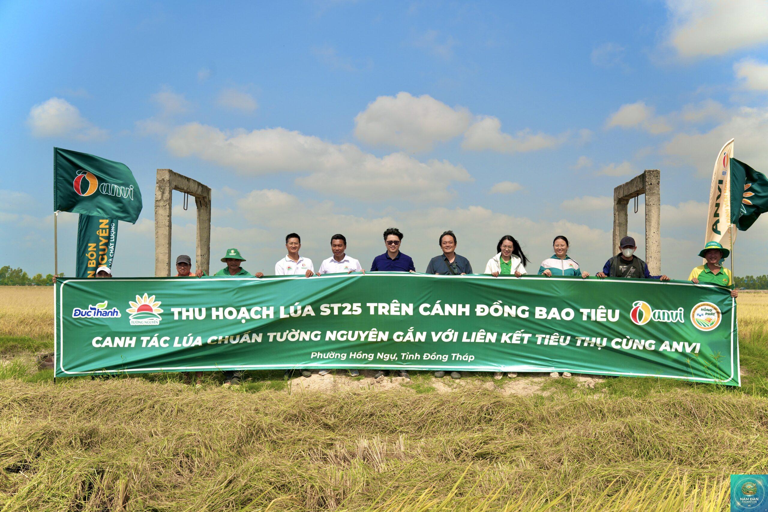 cánh đồng lúa hồng ngự - Hình 4