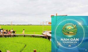 cánh đồng lúa tam nông