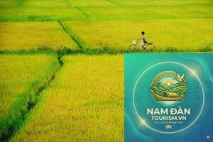 cánh đồng lúa thanh bình