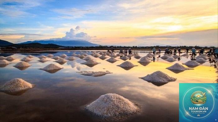 cánh đồng muối bạc liêu - Hình 2
