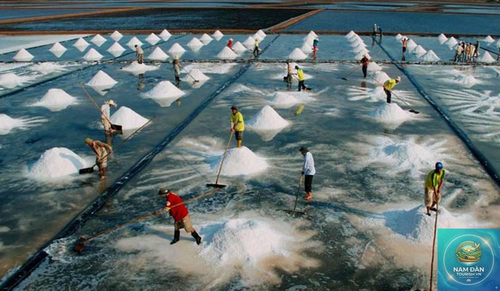 cánh đồng muối bạc liêu - Hình 4