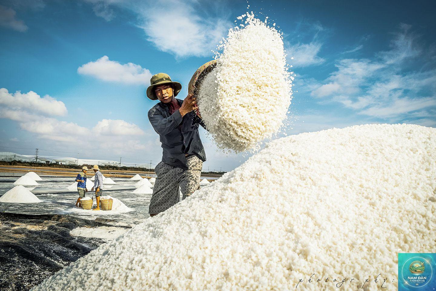 cánh đồng muối bạc liêu - Hình 5
