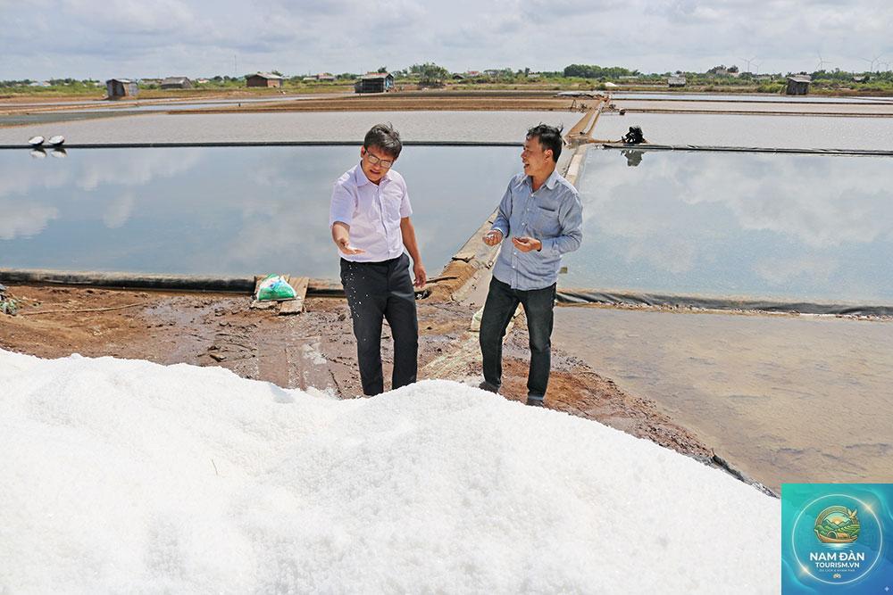 cánh đồng muối bảo thạnh - Hình 1