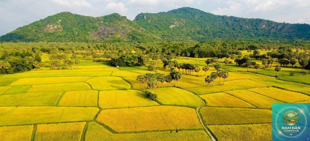 cánh đồng tà pa