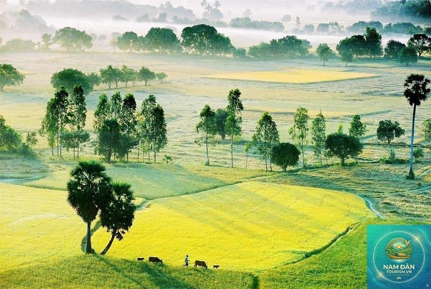 cánh đồng tà pa - Hình 4