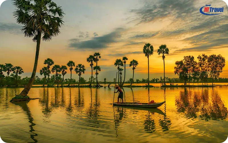 cánh đồng thốt nốt tri tôn - Hình 2