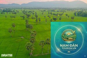 cánh đồng thốt nốt tri tôn