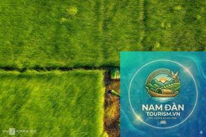 cánh đồng vũng liêm