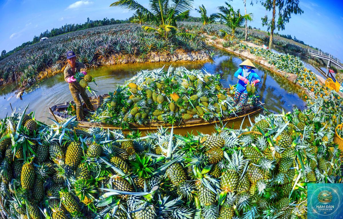chi phí du lịch hậu giang - Hình 4