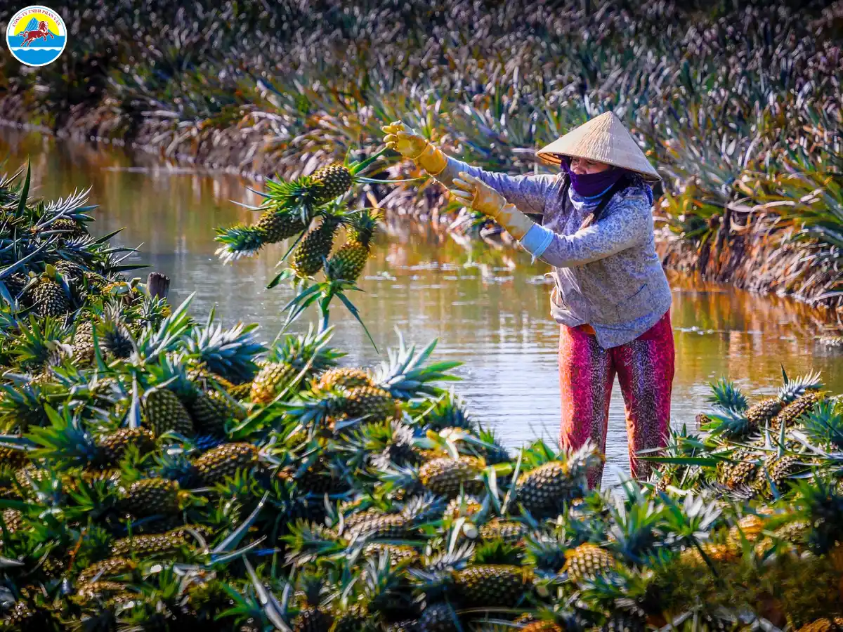 chi phí du lịch hậu giang - Hình 5