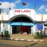 Chợ Chợ Lách – Thiên Đường Cây Giống Và Trái Cây Miền Tây Chợ Chợ Lách – Thiên Đường Cây Giống Và Trái Cây Miền Tây